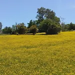 Montevecchio Isolani Farm stay