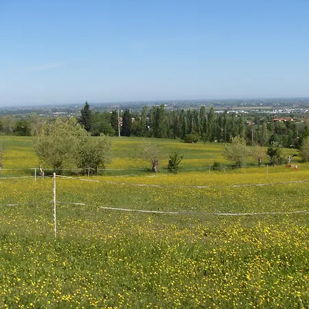 Montevecchio Isolani