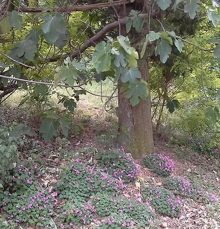 Montevecchio Isolani בית חווה Monte San Pietro