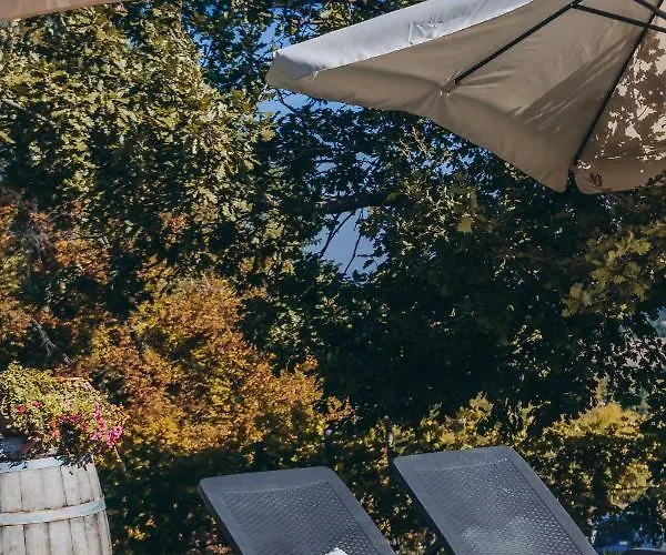 Montevecchio Isolani