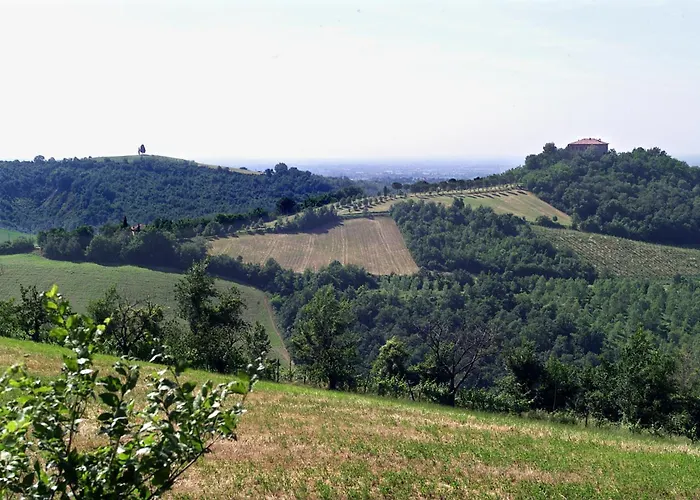 Montevecchio Isolani *