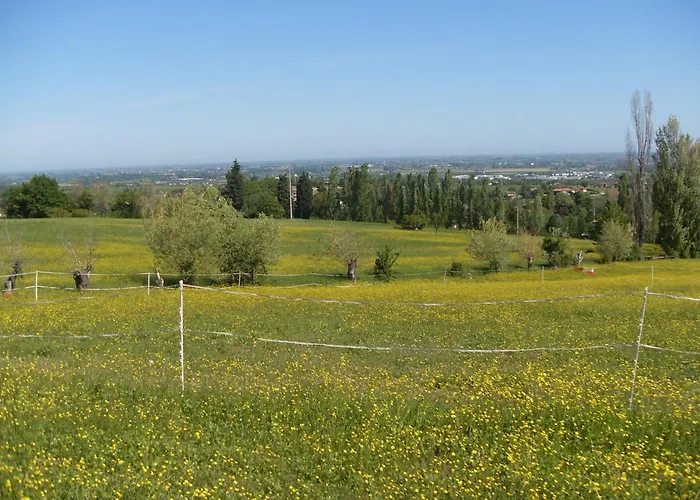 Montevecchio Isolani