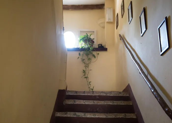 Montevecchio Isolani *