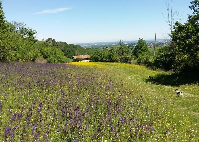 Montevecchio Isolani