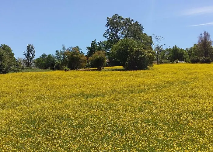 Montevecchio Isolani Lantgård