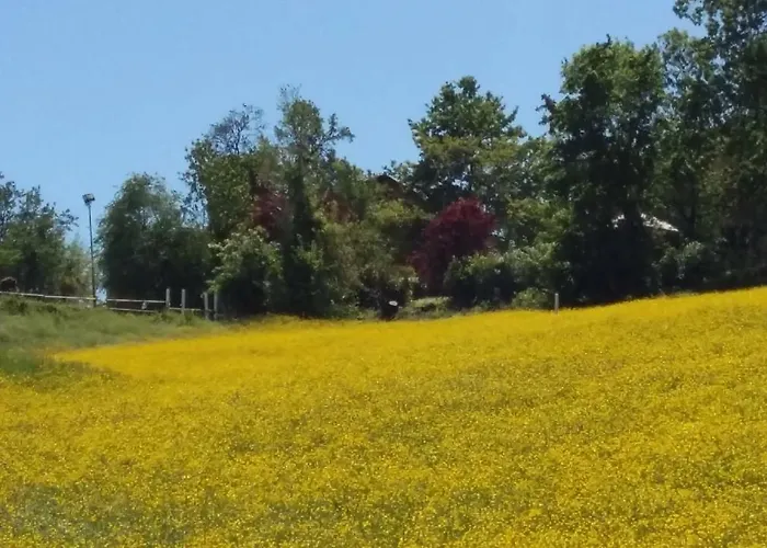 Montevecchio Isolani *