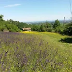 Montevecchio Isolani