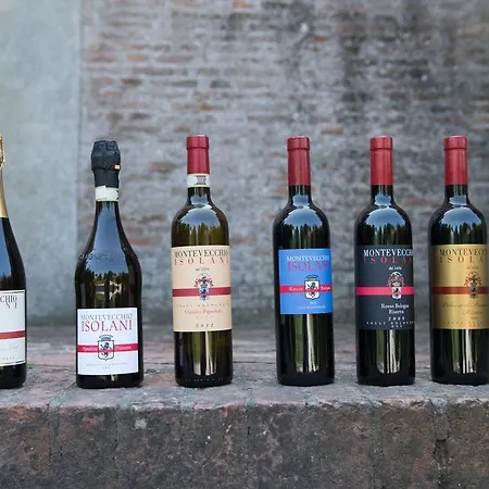 Montevecchio Isolani * San Lorenzo in Collina