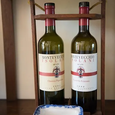 Montevecchio Isolani *