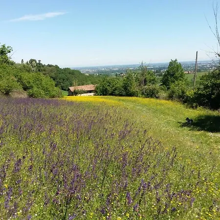 Montevecchio Isolani