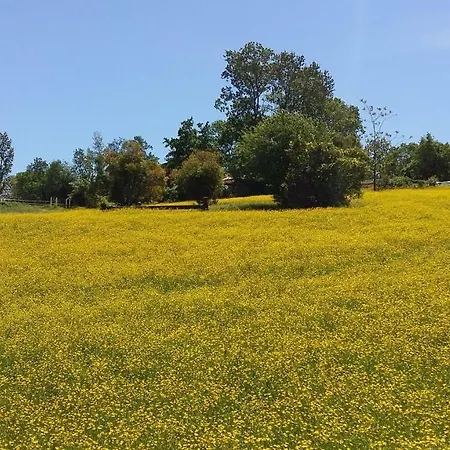 Montevecchio Isolani مزرعة للإقامة