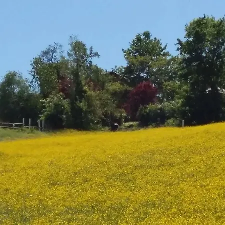 Montevecchio Isolani *