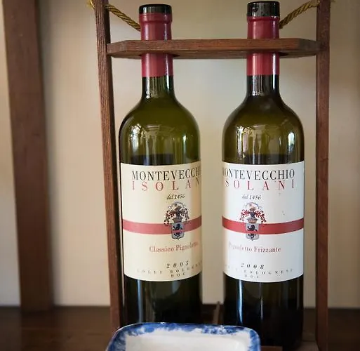 Montevecchio Isolani *